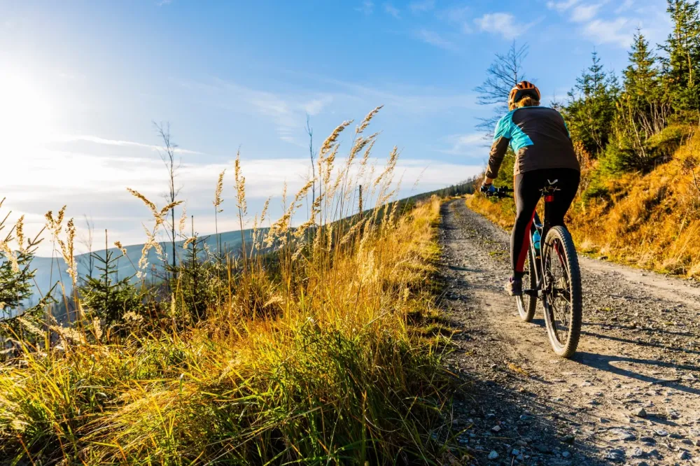 Location de vélos près de Épinal
