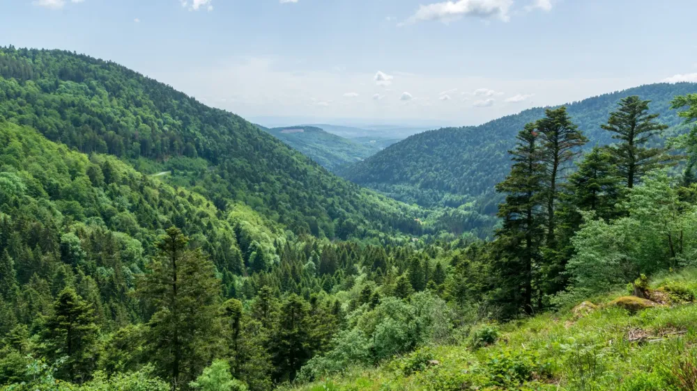 montagne des vosges