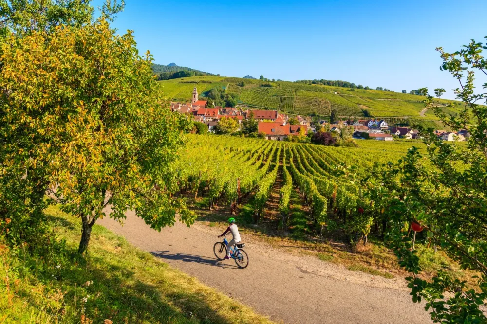 vélo Kaysersberg